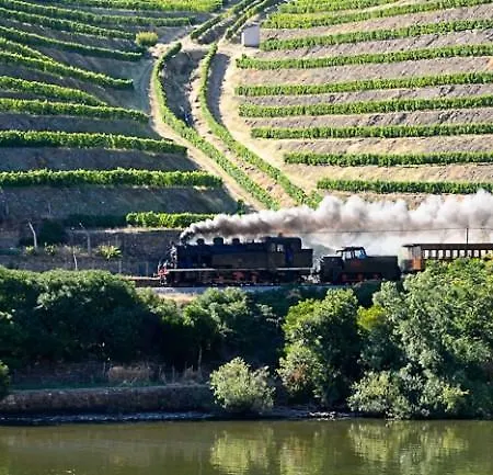 Casa vacanze Douro, Casa Dos Avos
