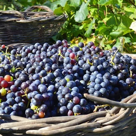 בית נופש Douro, Casa Dos Avos